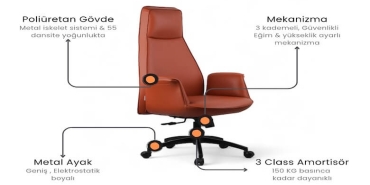Yönetici Koltuğu ve Yönetici Sandalyesi